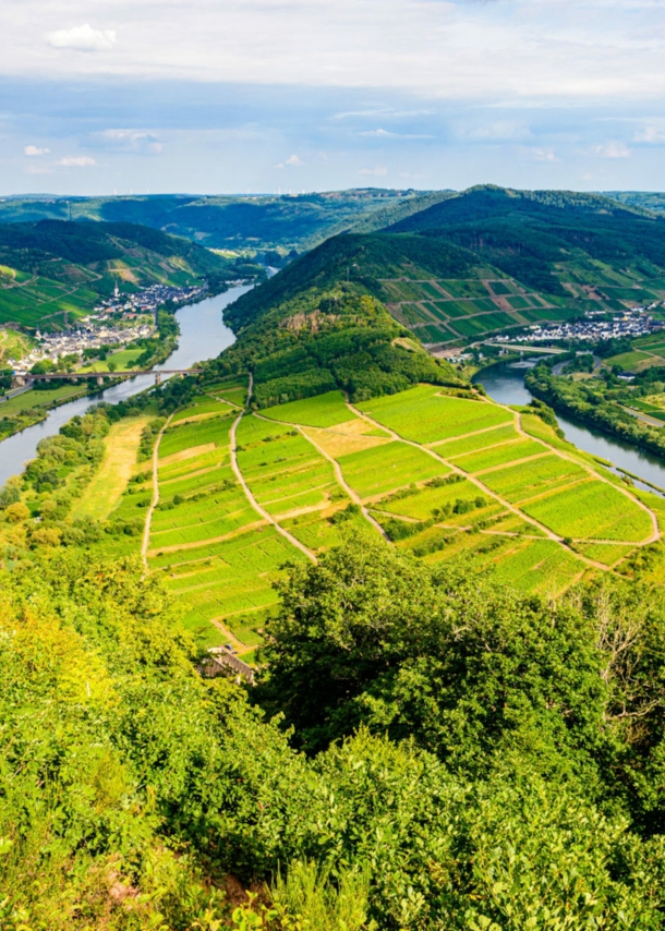 Moselschleife in Bemm mit Blick vom Calmont.