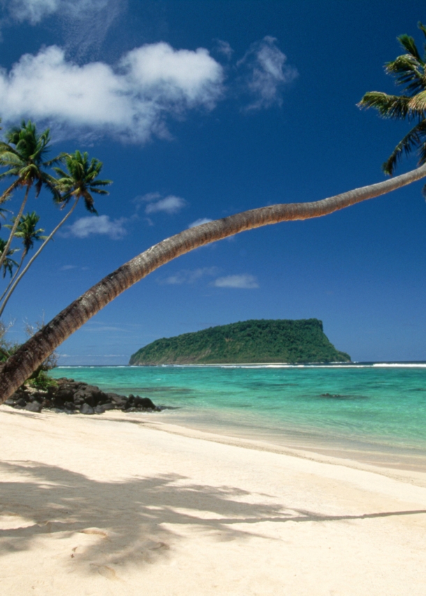 Weißer, palmengesäumter Sandstrand an türkisblauem Meer, im Vordergrund eine waagerecht gewachsene Palme.