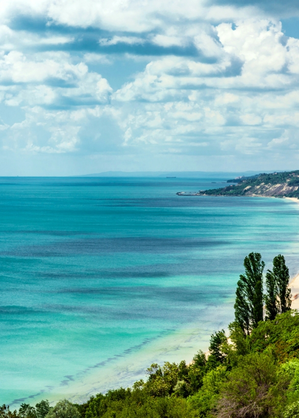 Grüner Küstenabschnitt mit Hotelanlagen an einem breiten Sandstrand vor flachem, türkisblauem Meer.