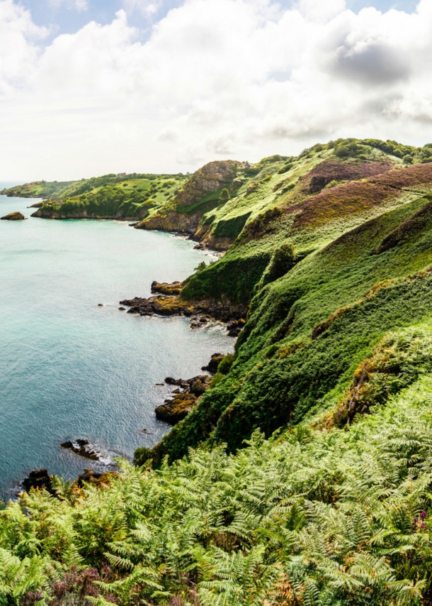 Schmaler Wanderweg entlang einer Felsküste, bedeckt mit grünen Farnen, am türkisblauen Meer.