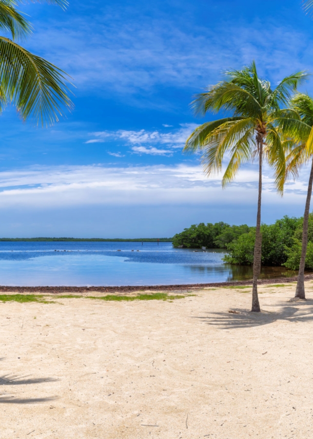 Weißer Sandstrand mit Palmen am türkisblauen Meer unter blauem Himmel.