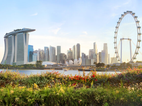 Skyline von Singapur mit Riesenrad, im Vordergrund ein begrünter Hügel mit Blumenwiese