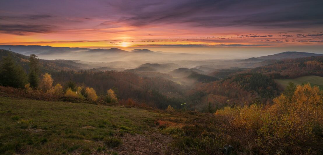 Sonnenuntergang im herbstlichen Schwarzwald