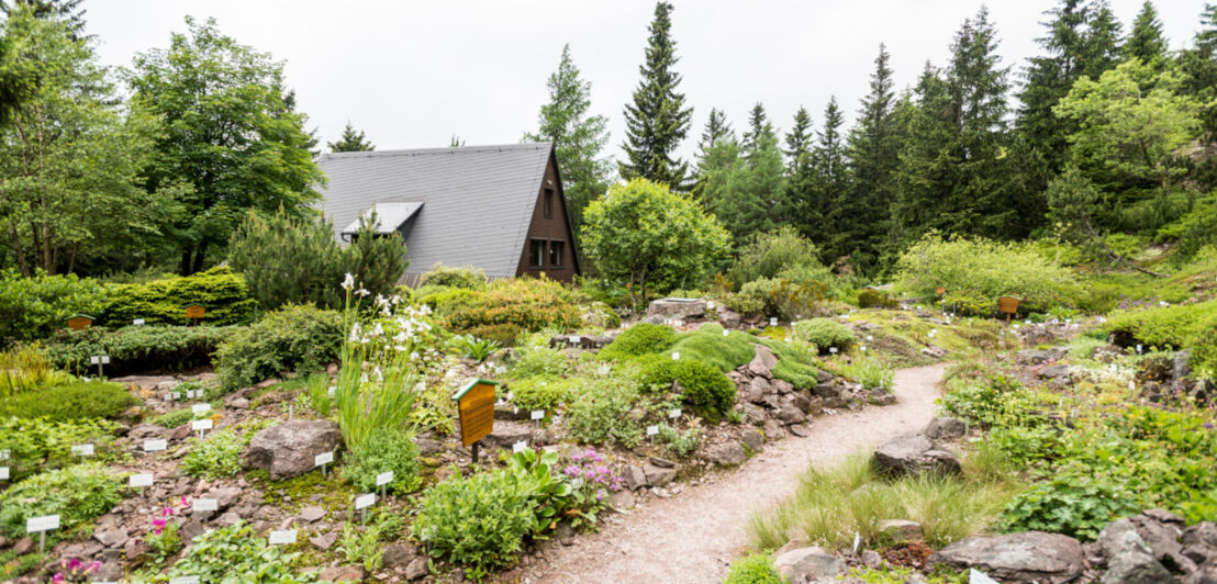 Der Wanderweg führt durch den botanischen Garten Rennsteiggarten in Oberhof