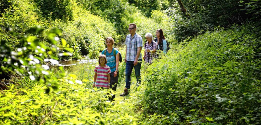 Eine Familie mit Kindern und Großmutter wandert entlang der Teinach