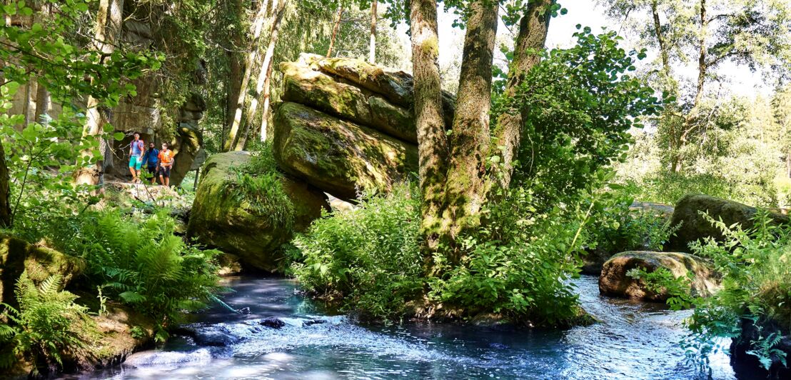 Ein Fluss mit Bäumen und Büschen umgeben