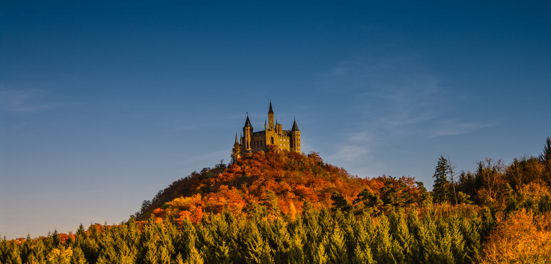 Panoramablick auf eine Burg auf einem Hügel, umgeben von Wald