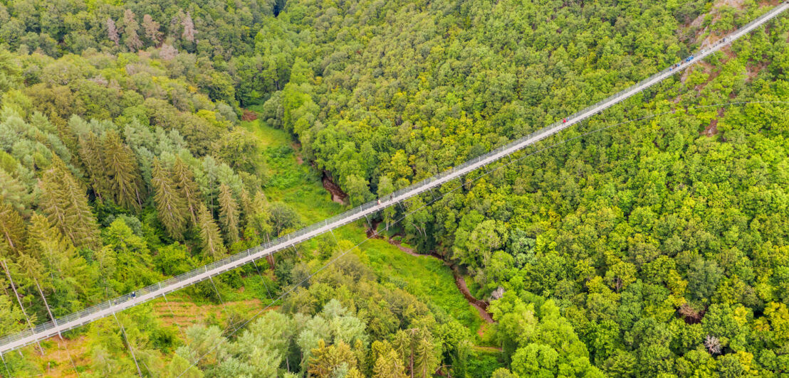 Menschen auf einer Hängeseilbrücke, herbstlicher Wald