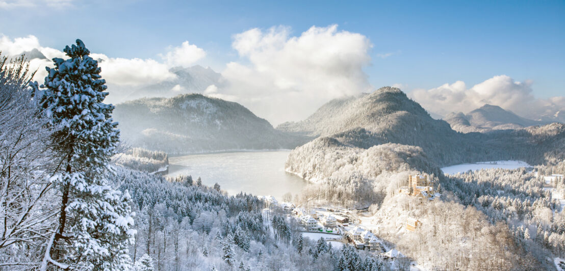 Winterlicher Blick auf den Alpsee