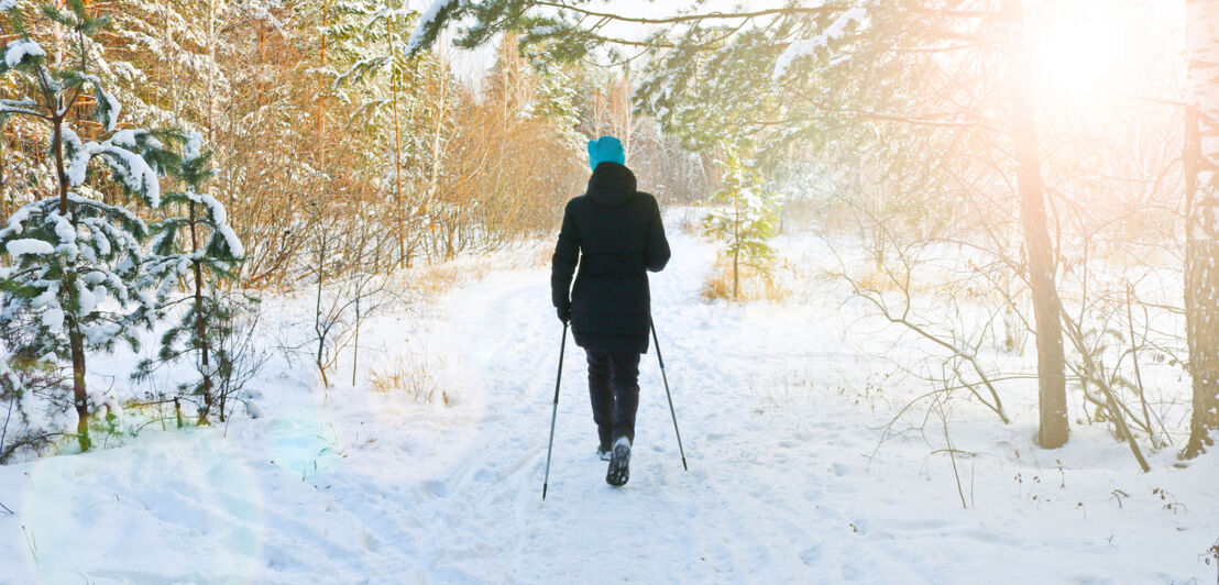 Eine Frau mit Wanderstöcken geht durch einen verschneiten Wald.