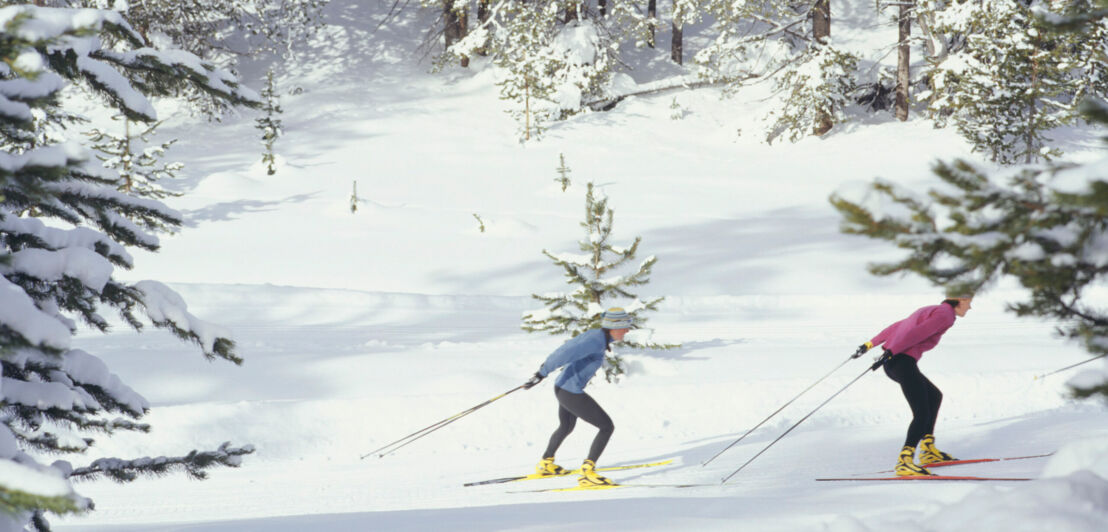 Zwei Langläufer auf Ski im schneebedeckten Wald