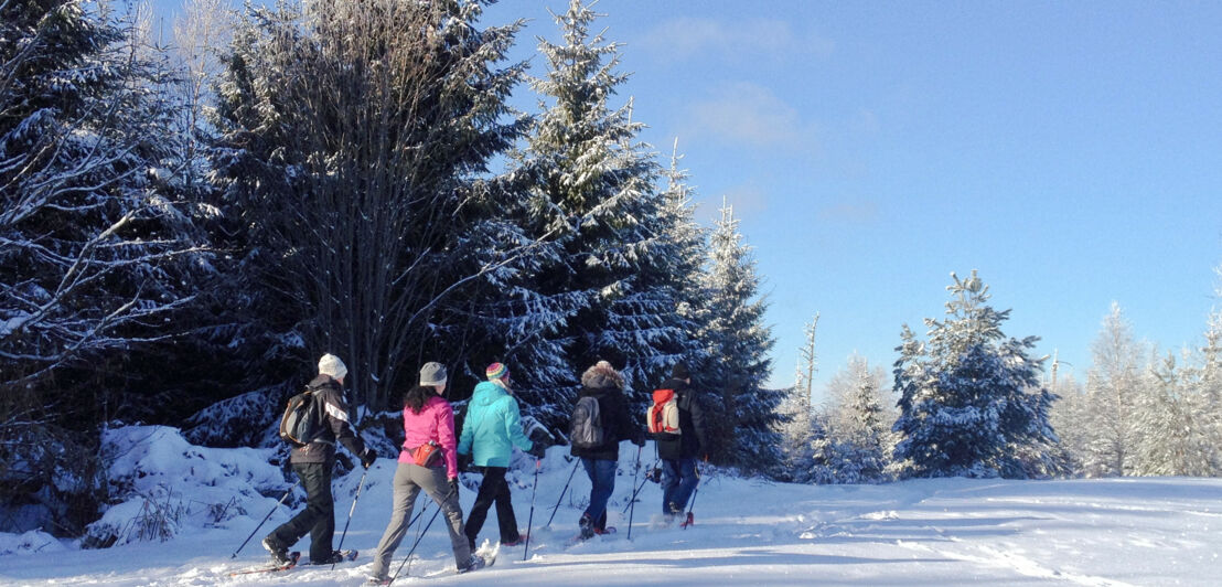 Fünf Schneeschuhwander:innen bei Sonnenschein auf dem verschneiten Maienbergkopf