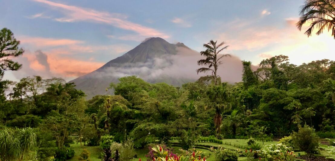 Im Hintergrund der Volcán Arenal, im Vordergrund eine grüne Landschaft