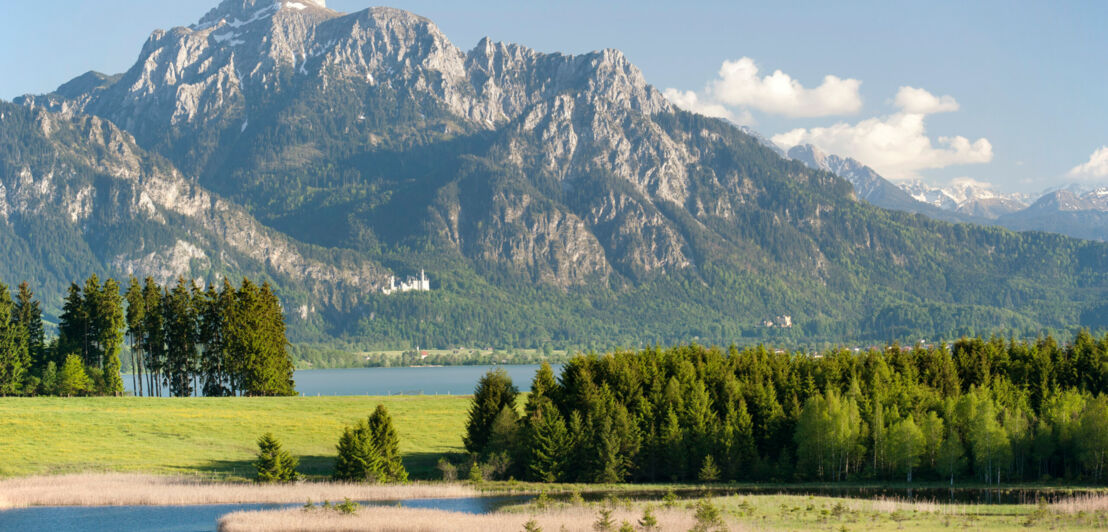 Ein See mit Wald vor Bergpanorama, im Hintergrund ein Schloss