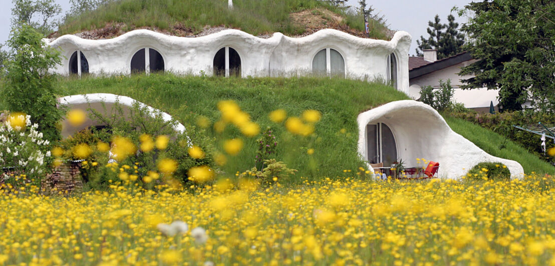 Großes, zweistöckiges Erdhügelhaus mit weißen, organisch-geformten Wänden und Grasdächern, im Vordergrund eine Blumenwiese