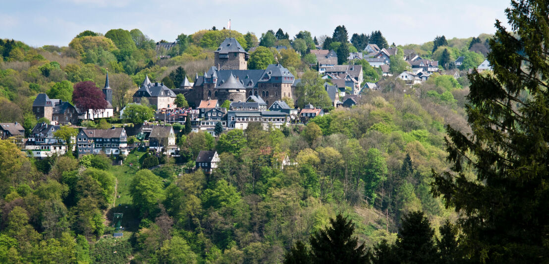 Eine Burg umgeben von Wald