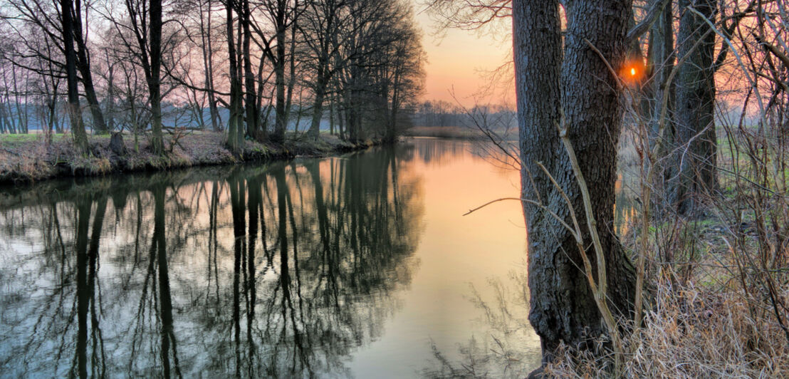 Ein von Bäumen gesäumter Fluss im Winter