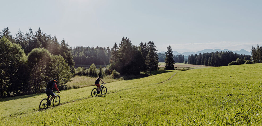 Zwei Personen auf Mountainbikes fahren einen schmalen Pfad auf einer Wiese entlang