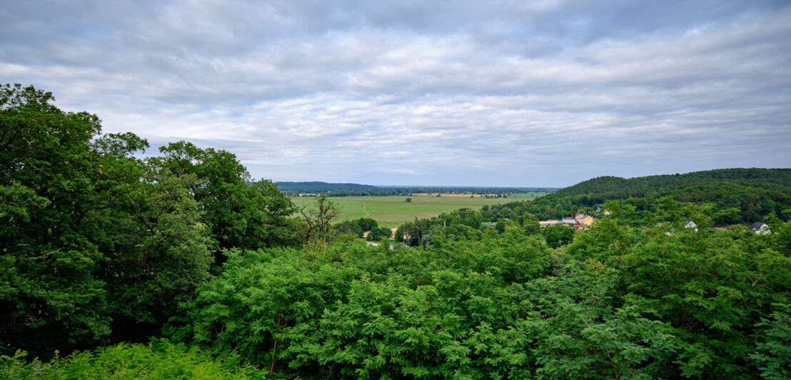 Blick vom Falkenberg an der Nordgrenze des Barnimplateaus auf die weite Landschaft "Oderbruch"