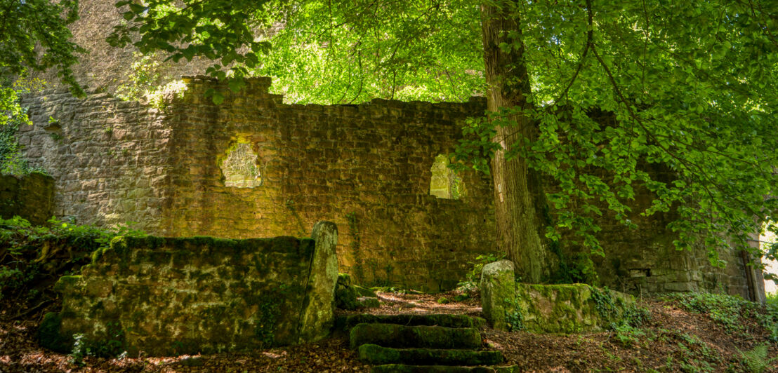 Burgruine Stolzeneck.