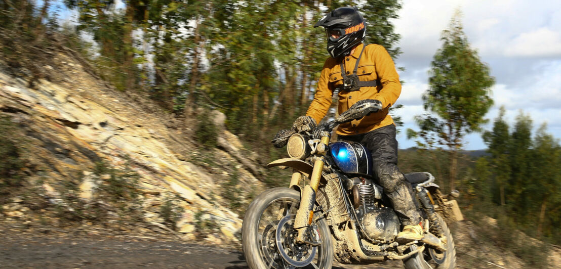 Ein Motorradfahrer fährt auf einer blauen Triumph Scrambler stehend einen Hang hinauf.