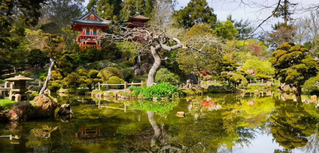 Der japanische Teegarten im Golden Gate Park