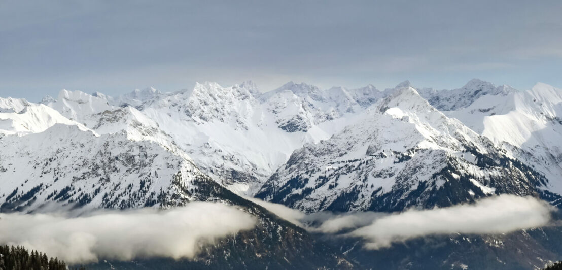 Panoramablick vom Riedberger Horn