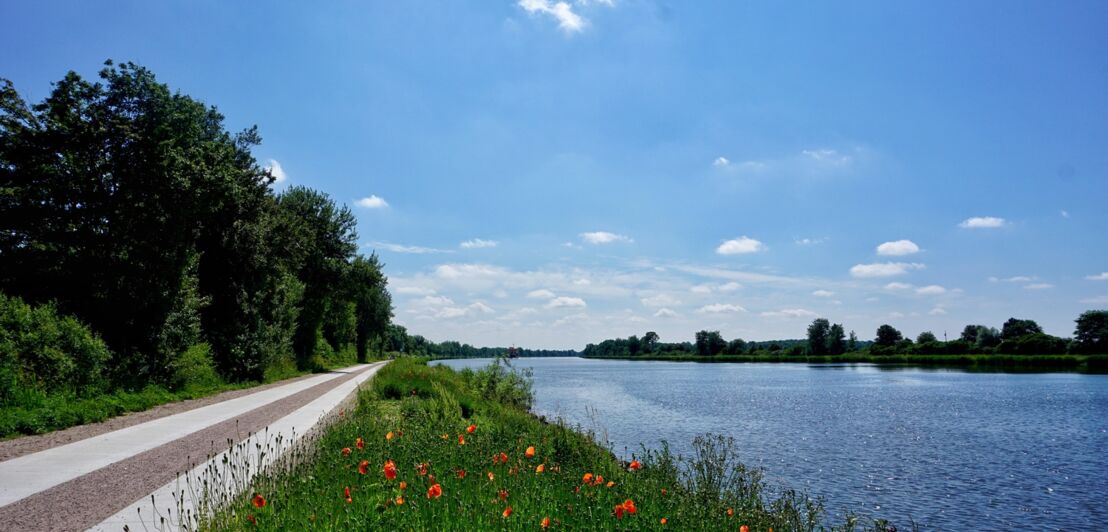 Der Nord-Ostsee-Kanal mit Radweg im Sonnenschein