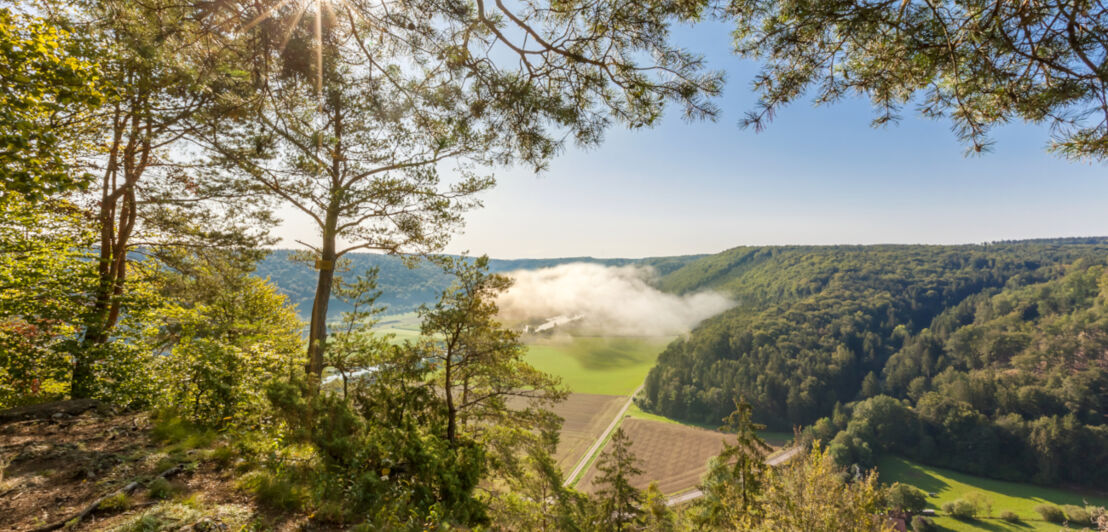 Blick auf das Altmühltal.