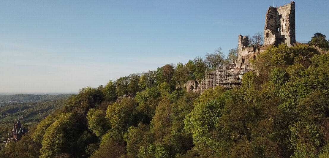 Der Berg Drachenfels in Königswinter im Siebengebirge