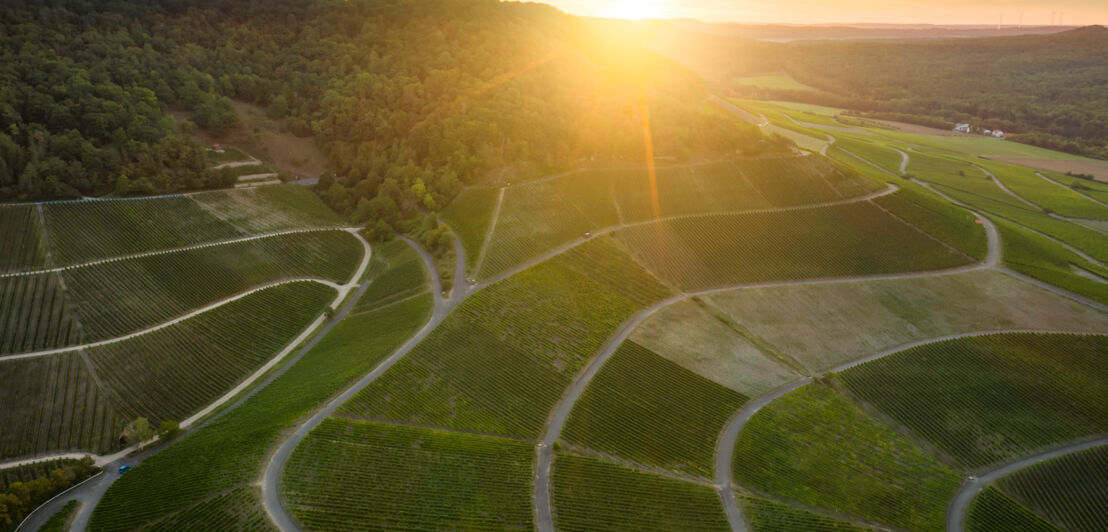 Sonnenuntergang über den Weinbergen in Iphofen.