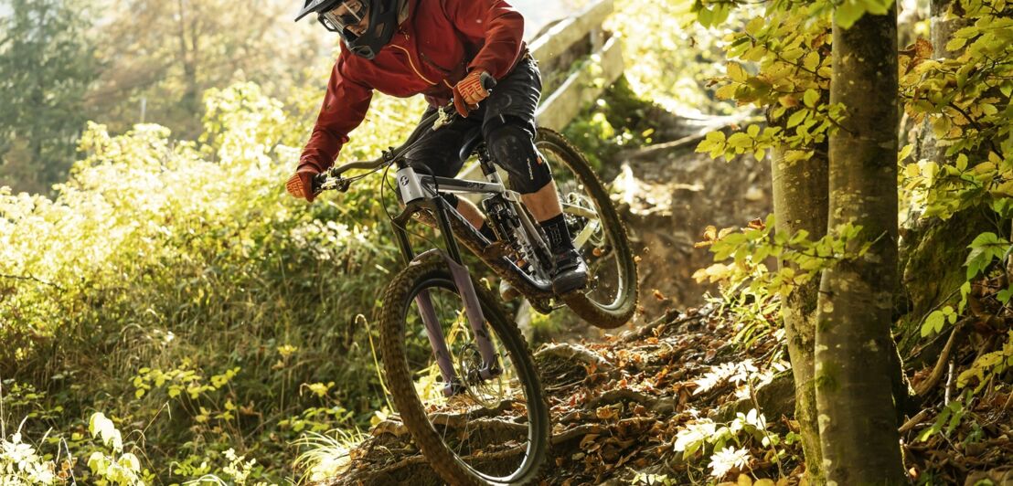 Ein Mountainbiker fährt durch einen Wald