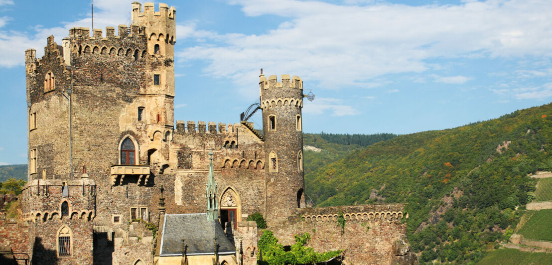 Eine Burg am Rhein