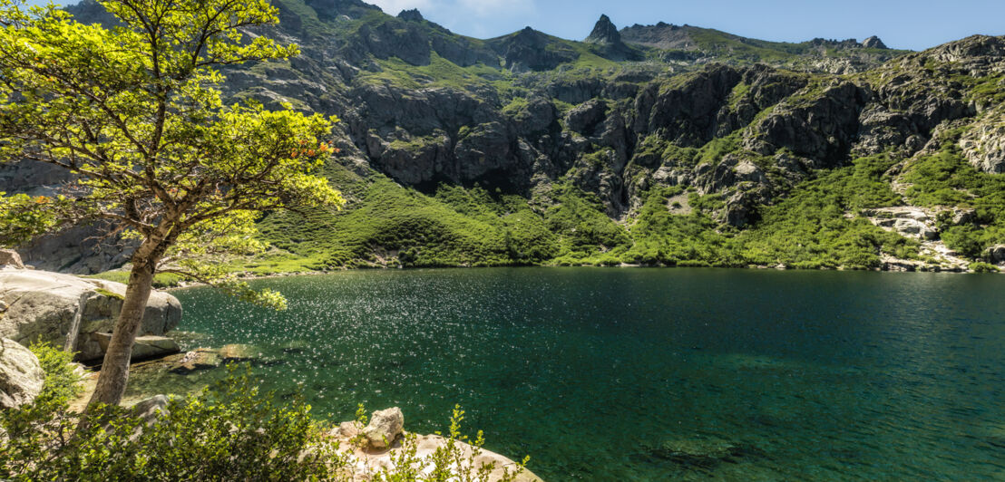 Blick auf einen kristallklaren Bergsee bei Sonnenschein.