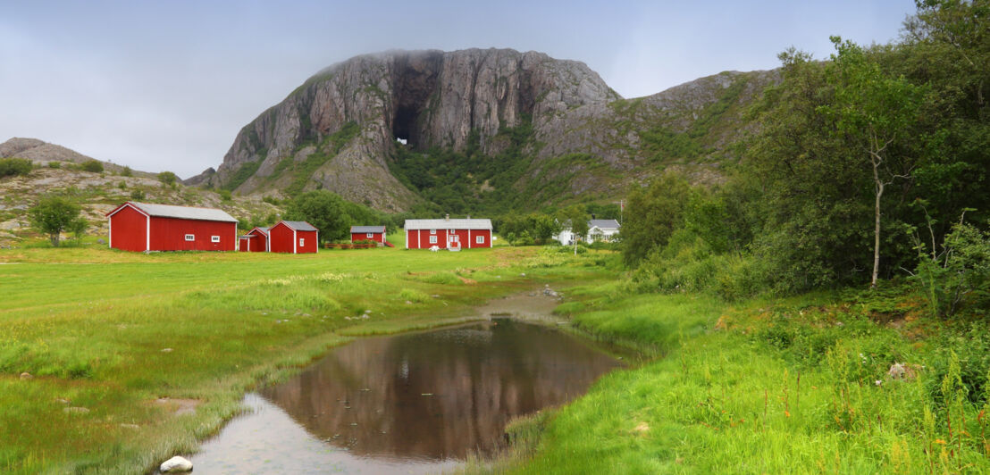 Häuser stehen auf einer Wiese vor dem Torghatten