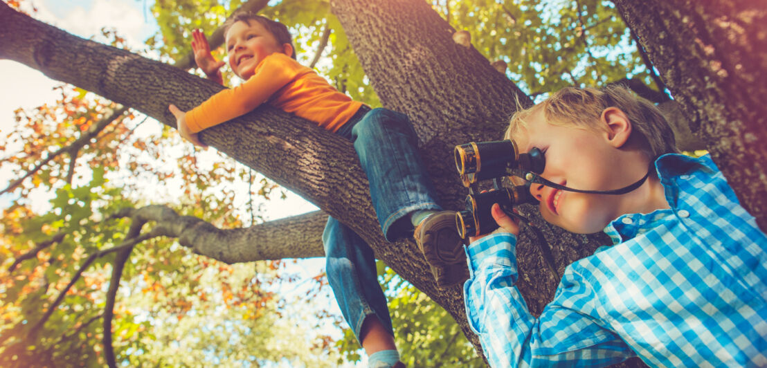 Zwei lachende kleine Jungs sitzen in einem Baum und einer von ihnen beobachtet mit einem Fernglas die Umgebung