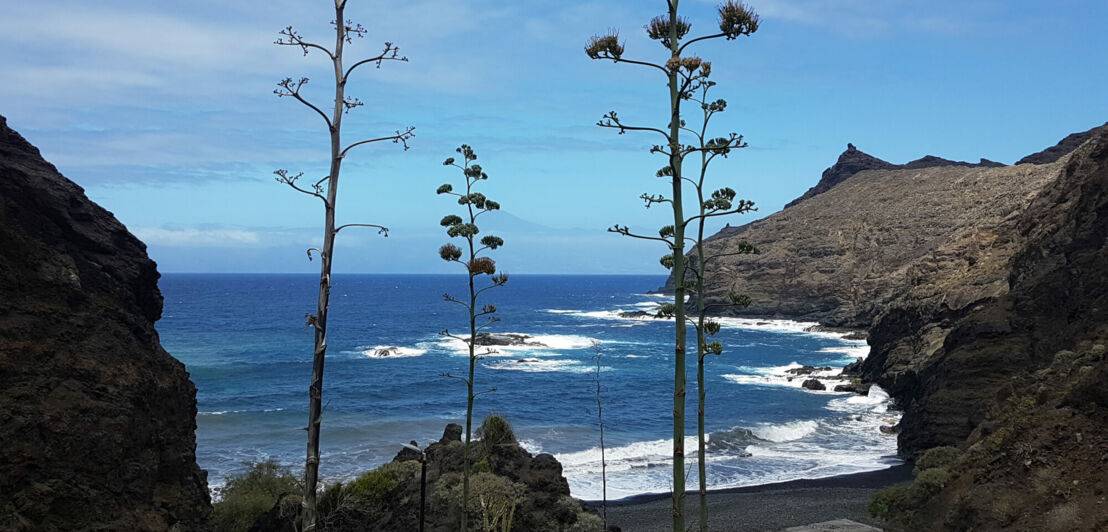 Blick auf den steinigen Strand von La Gomera