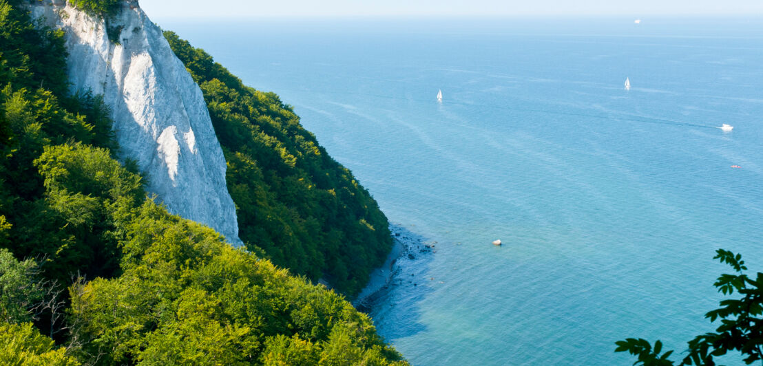 Blick von oben auf die Kreidefelsen von Rügen