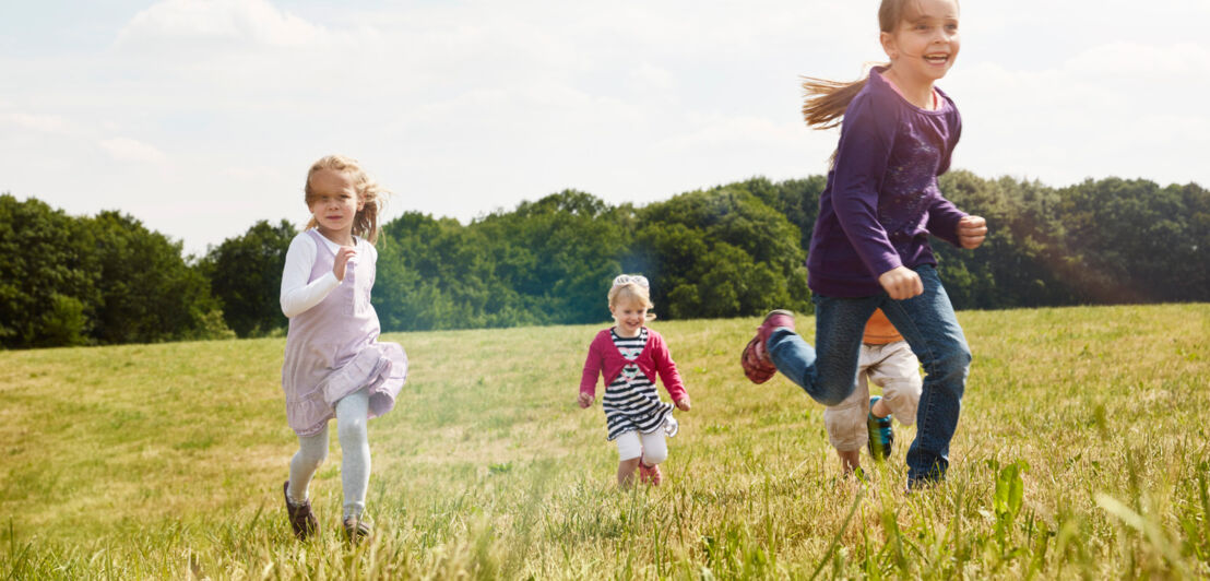 Vier Kinder spielen auf einer Wiese