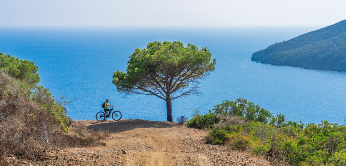 Ein Fahrradfahrer, der an einer Klippe die Aussicht auf das Meer genießt