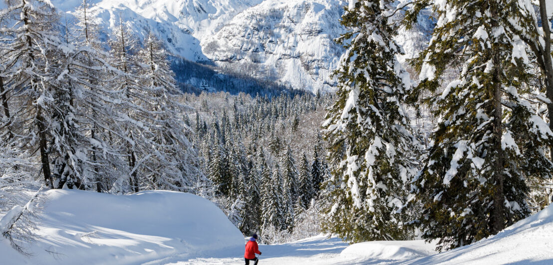 Skifahrer vor Bergkulisse