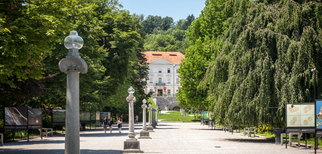 Eine Promenade mitten in der Grünanlage vom Tivoli Park