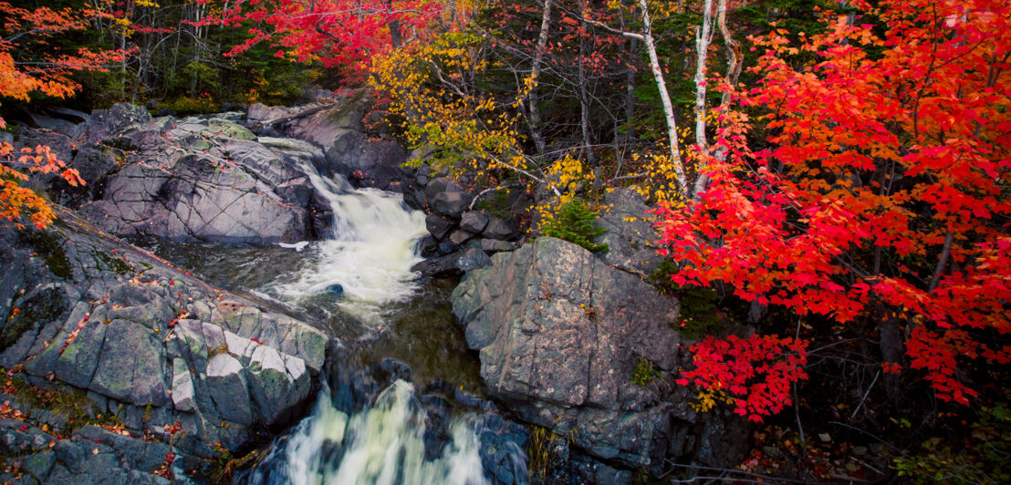 Ein Wasserfall im Herbst