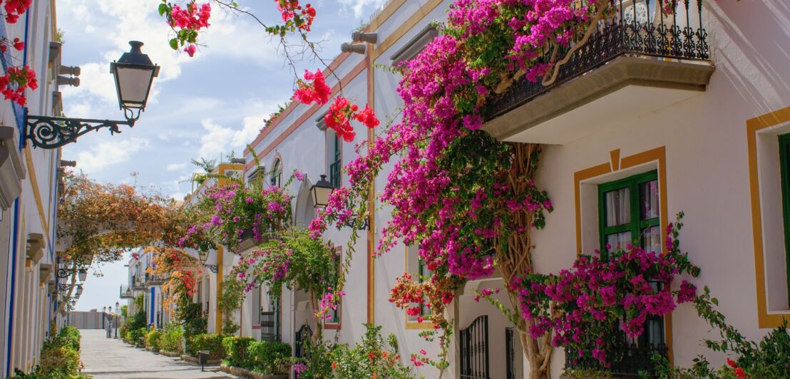 Eine Gasse mit weißen Häusern im kanarischen Stil und üppigen Blumenranken