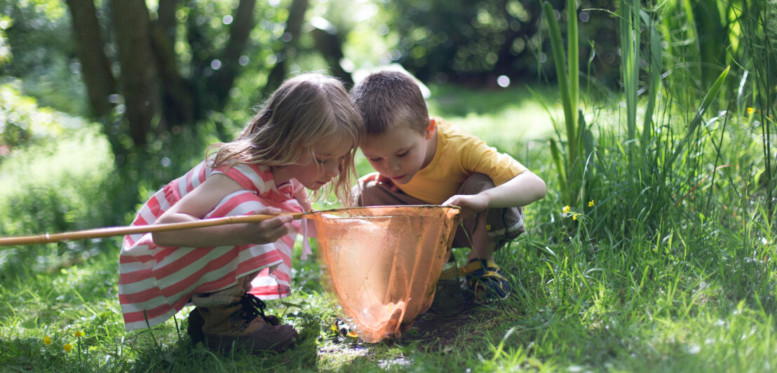 Zwei Kinder auf einer Wiese blicken in einen Kescher