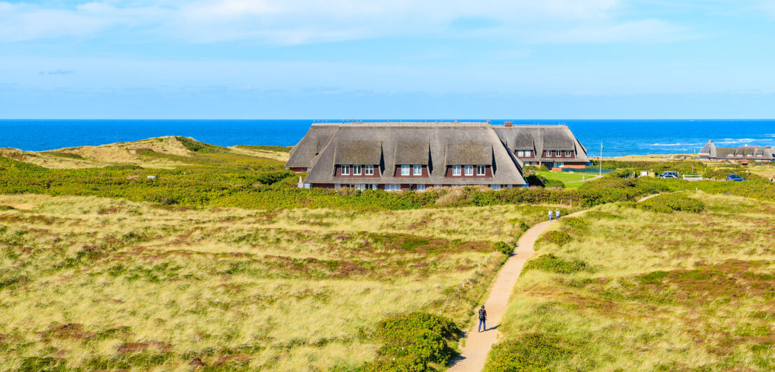 Dünenlandschaft auf Sylt