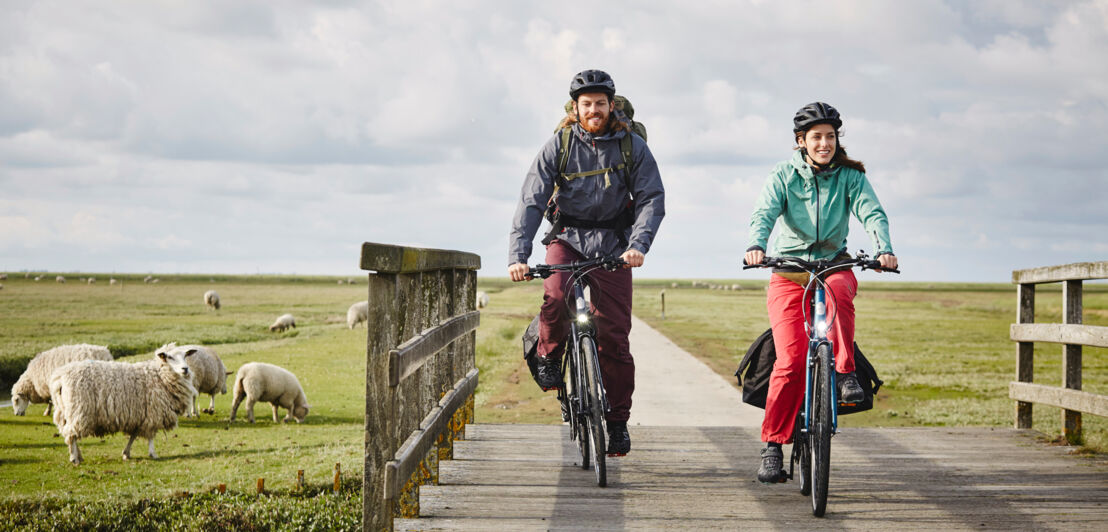 Zwei Fahrradfahrernde unterwegs am Deich