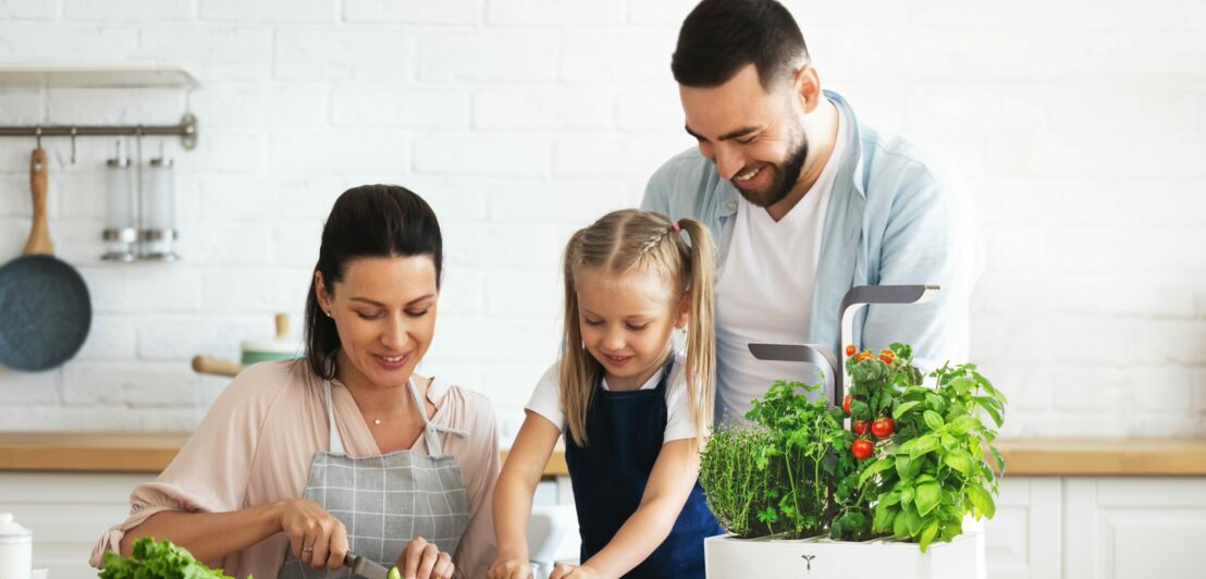 Eine Familie sitzt und steht am Küchentisch und bereitet dabei Kräuter und Salat zu.