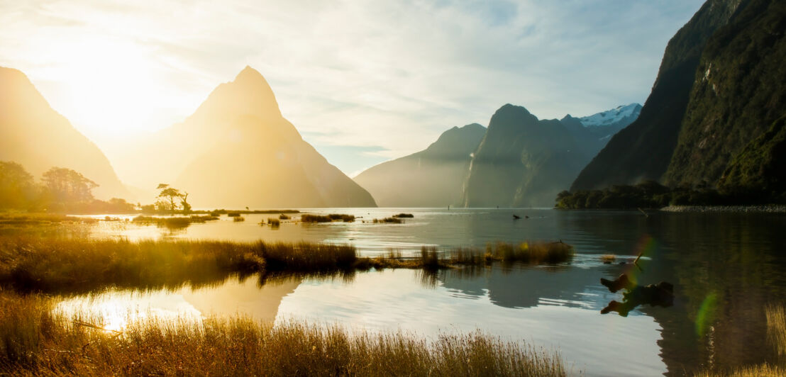 Der Fjord Milford Sound im Fiordland-Nationalpark