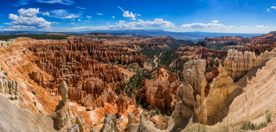 Amphitheater mit Felsformationen im Bryce-Canyon-Nationalpark